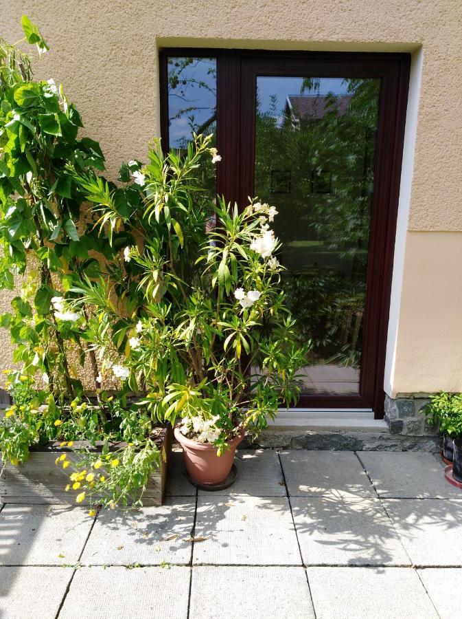 Ubytovani Bludov U Lazni Eksteriør billede